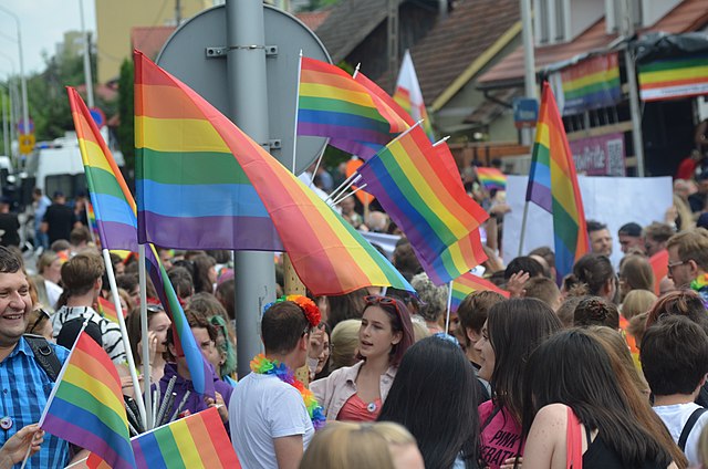 People wave rainbow flags at a pride parade